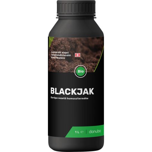 BlackJak